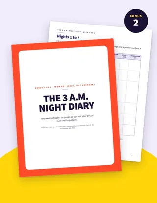 Bonus 2 cover: The 3 A.M. Night Diary