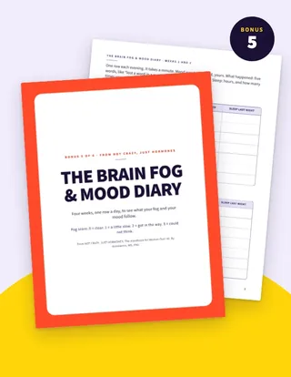 Bonus 5 cover: The Brain Fog and Mood Diary