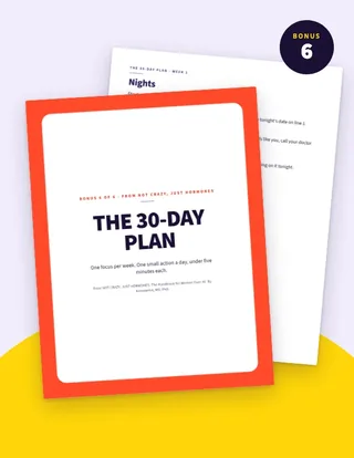 Bonus 6 cover: The 30-Day Plan